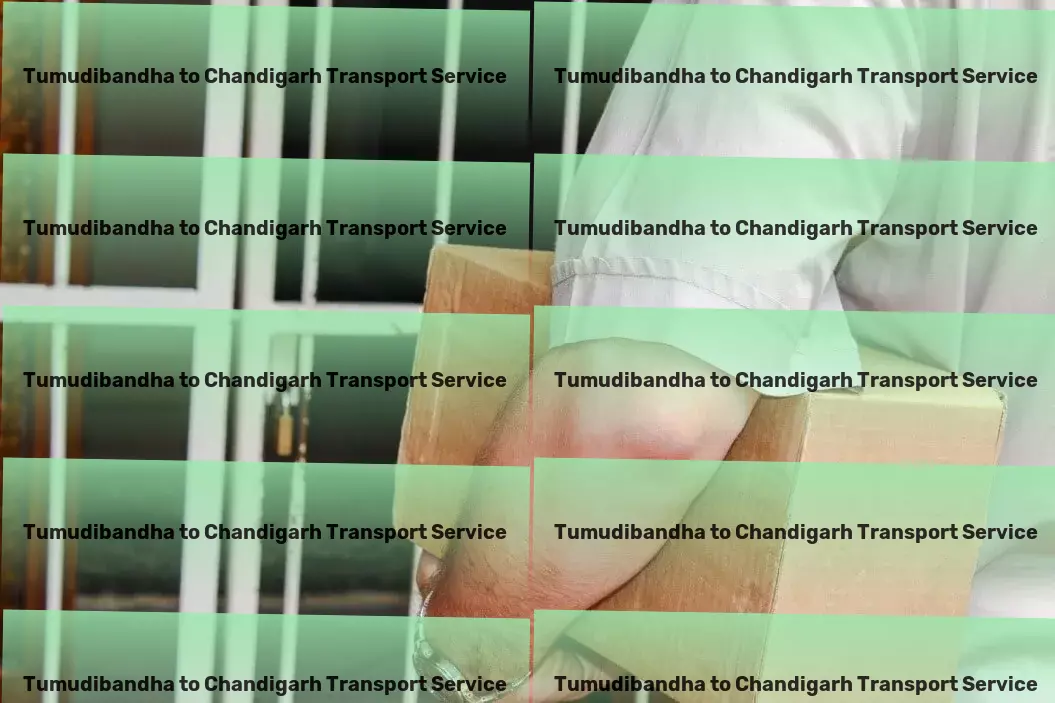 Tumudibandha to Chandigarh Transport Fast delivery logistics