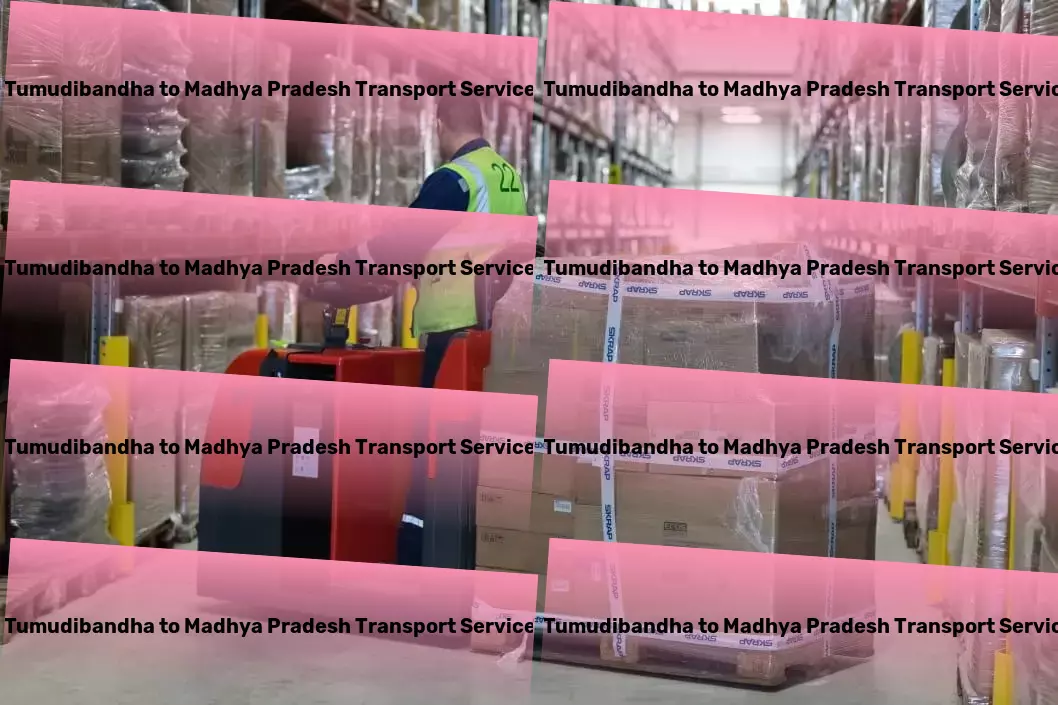 Tumudibandha to Madhya Pradesh Transport Express package services