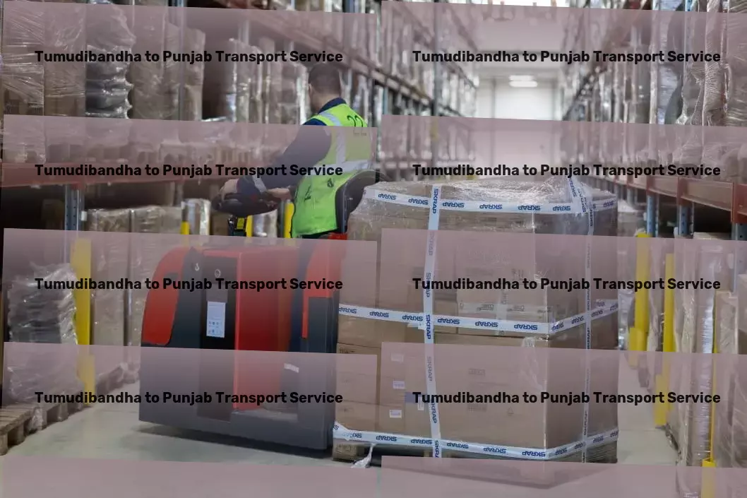 Tumudibandha to Punjab Transport Bridging the gap between your goods and destinations in India! - National logistics coordination