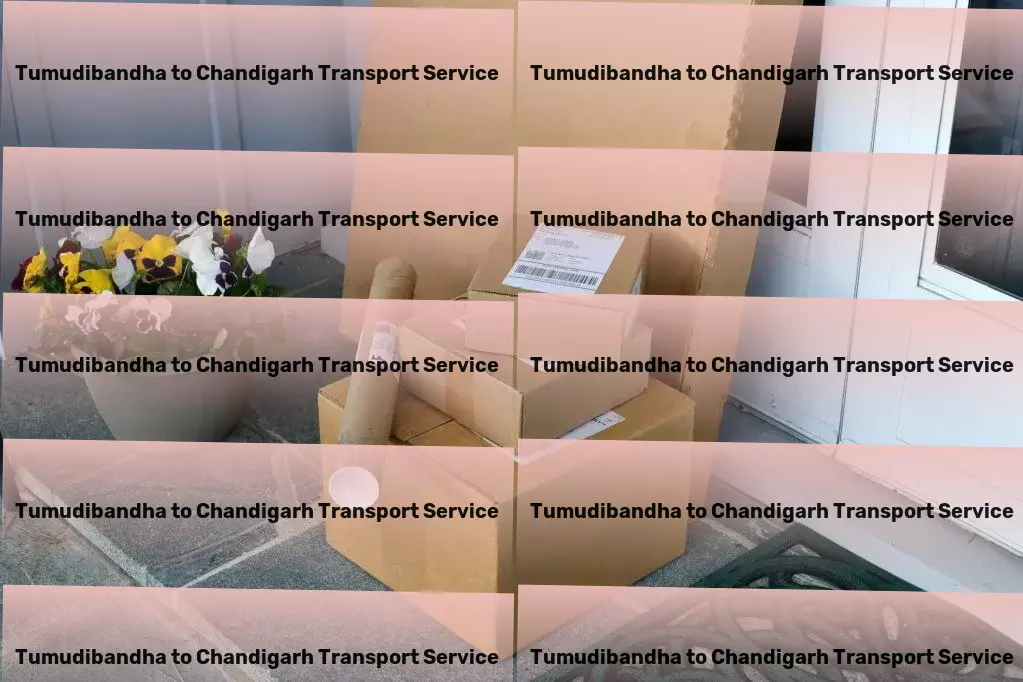 Tumudibandha to Chandigarh Transport Nationwide transport operations