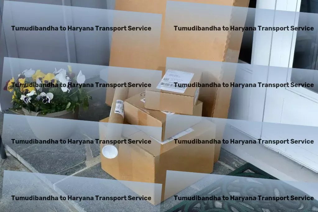 Tumudibandha to Haryana Transport Import export courier services