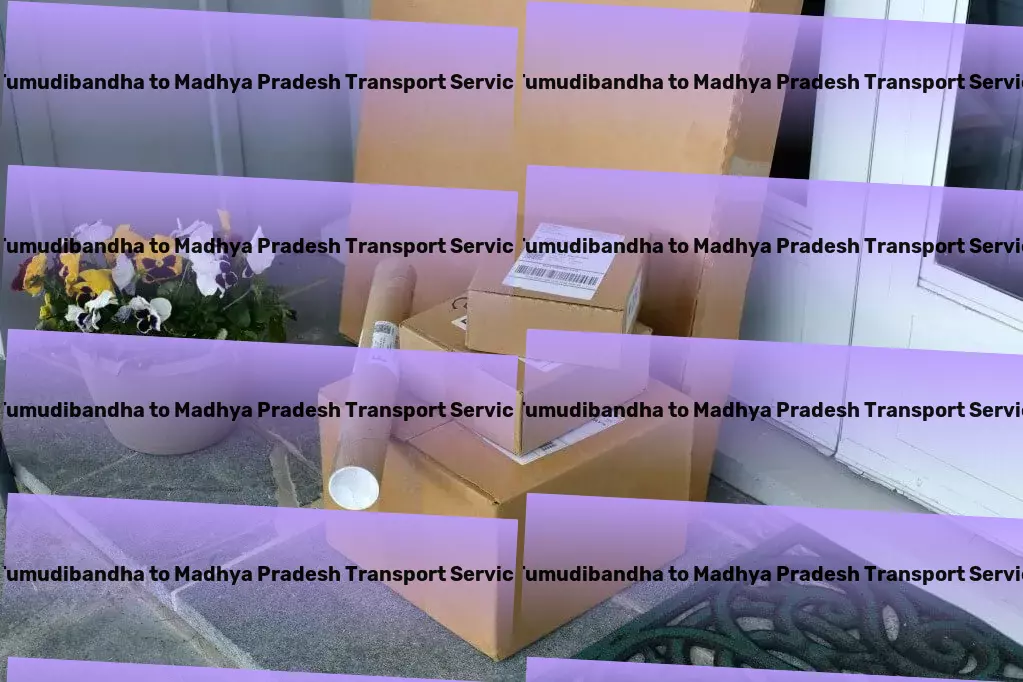 Tumudibandha to Madhya Pradesh Transport Port logistics services