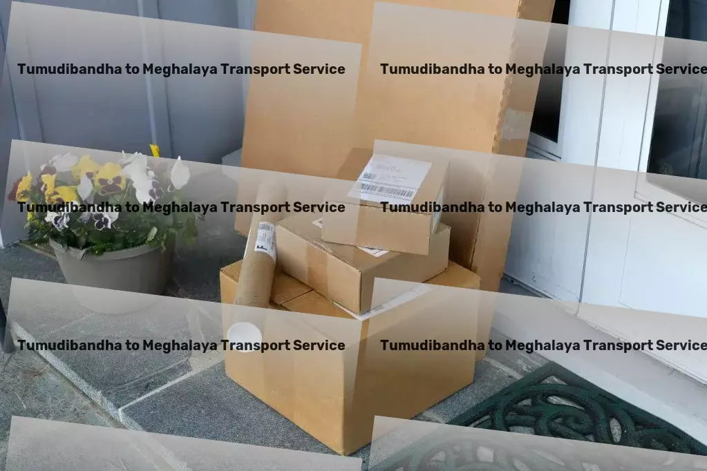 Tumudibandha to Meghalaya Transport Customized cargo logistics