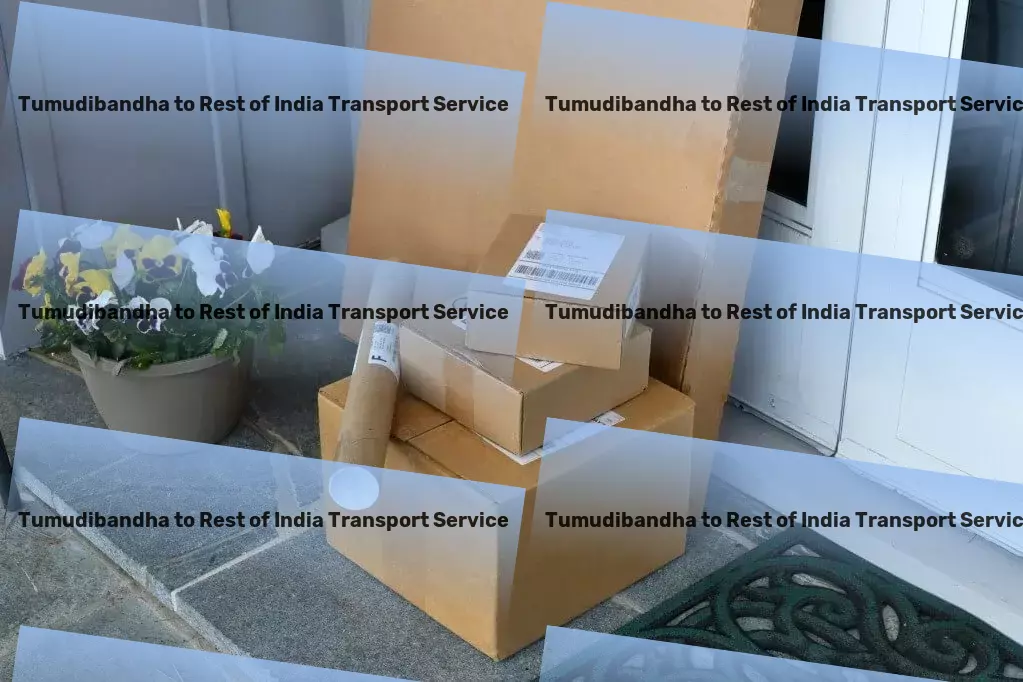 Tumudibandha to Rest Of India Transport Specialized package moving