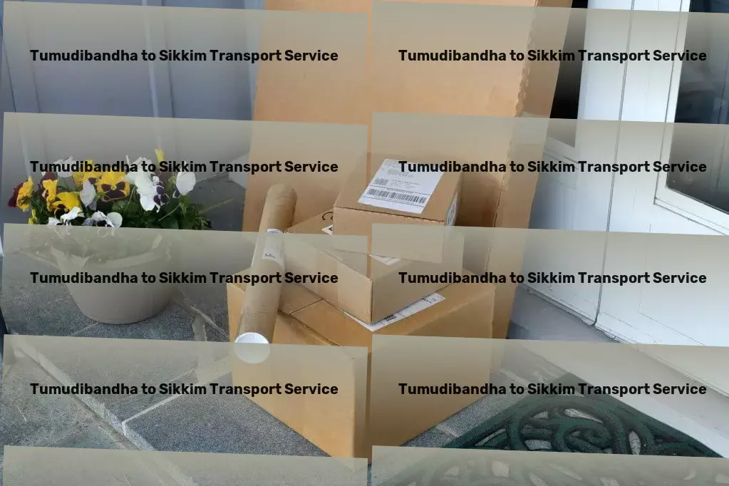 Tumudibandha to Sikkim Transport Door-to-door freight services