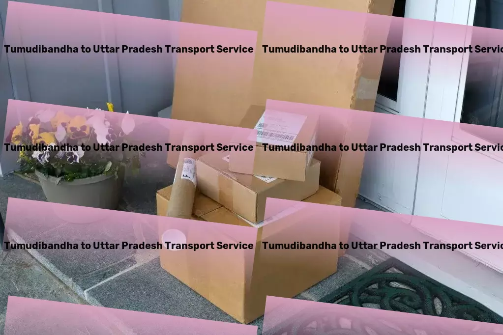 Tumudibandha to Uttar Pradesh Transport Professional moving services