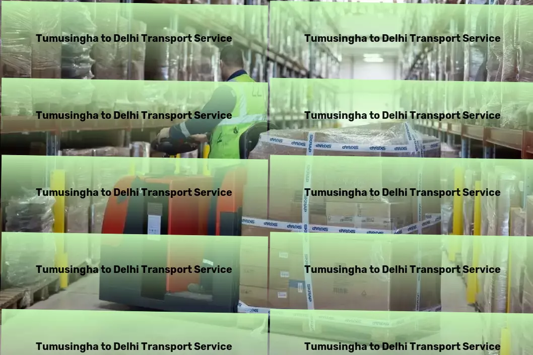 Tumusingha to Delhi Transport Long haul courier services