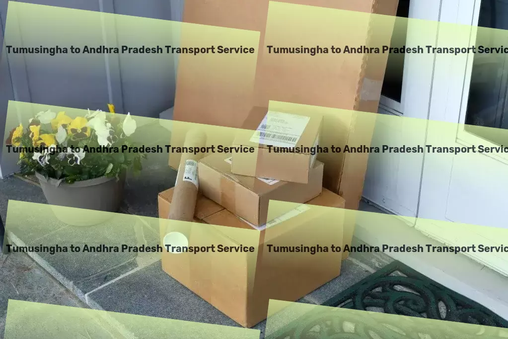 Tumusingha to Andhra Pradesh Transport Express package services