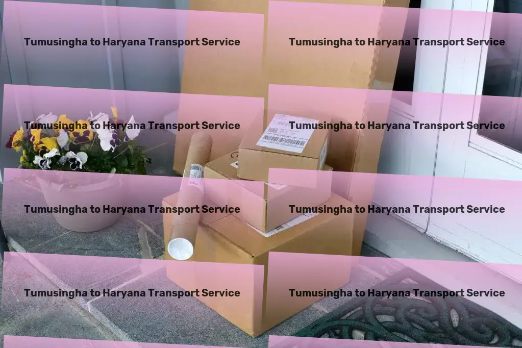 Tumusingha to Haryana Transport City-to-city logistics solutions