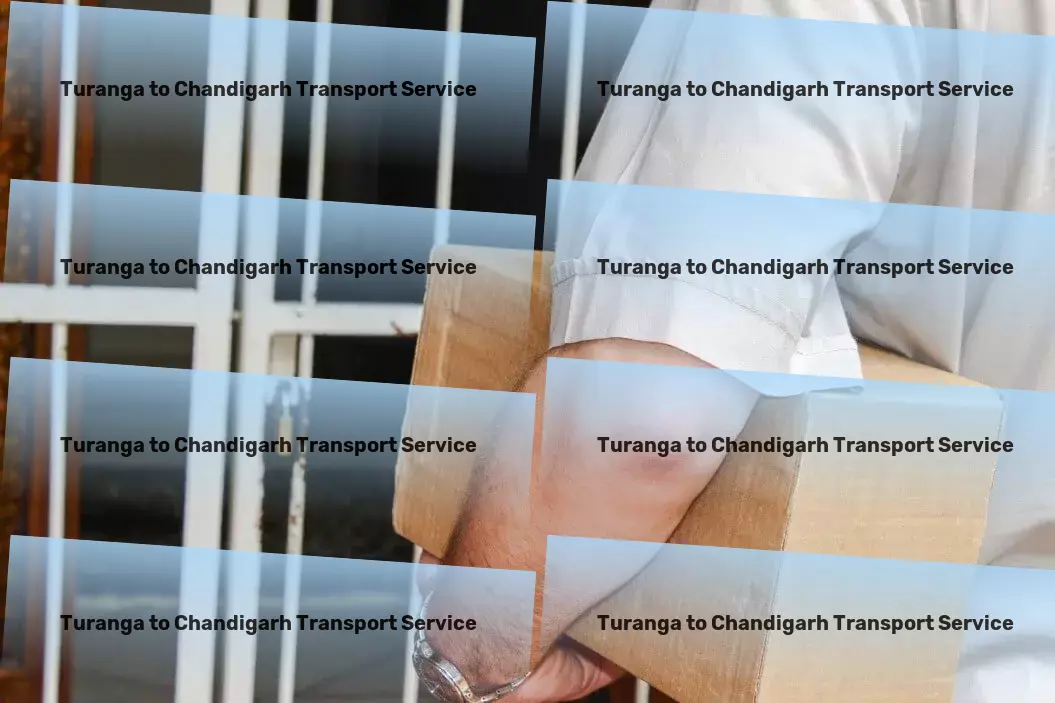 Turanga to Chandigarh Transport Commercial cargo booking