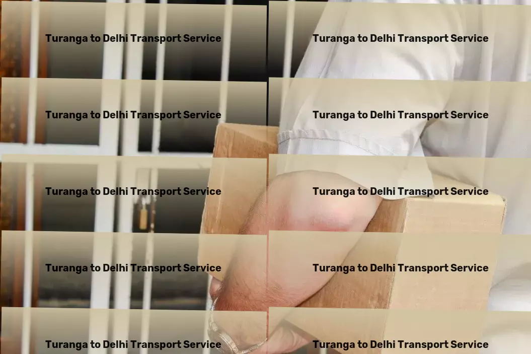 Turanga to Delhi Transport Countrywide logistics services