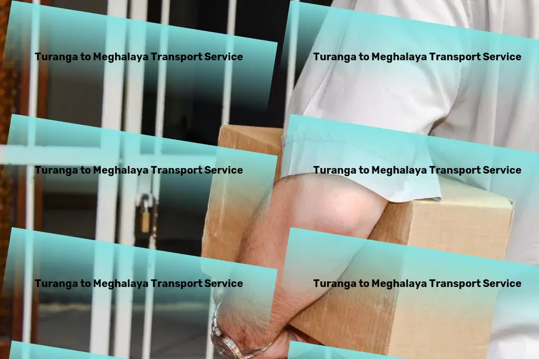 Turanga to Meghalaya Transport Container transport services