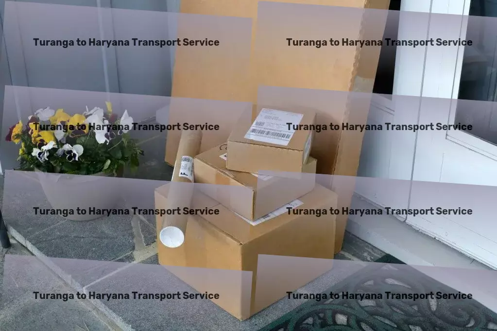 Turanga to Haryana Transport Door-to-door freight solutions