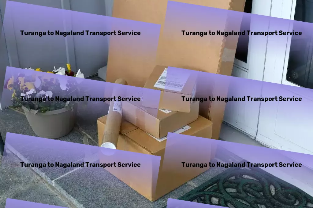 Turanga to Nagaland Transport Driving success through innovative Indian logistics strategies - Package delivery operations