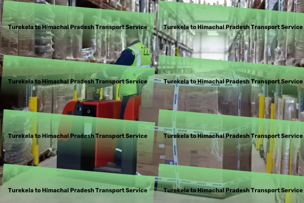 Turekela to Himachal Pradesh Transport Rapid shipment services