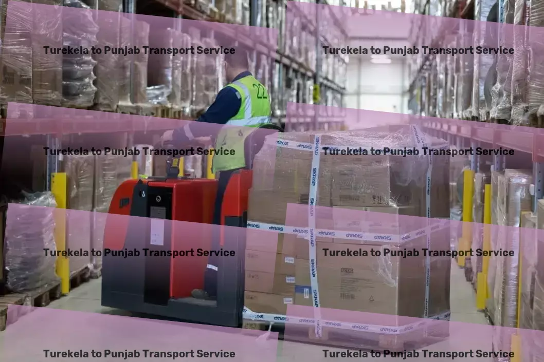 Turekela to Punjab Transport Professional cargo forwarding