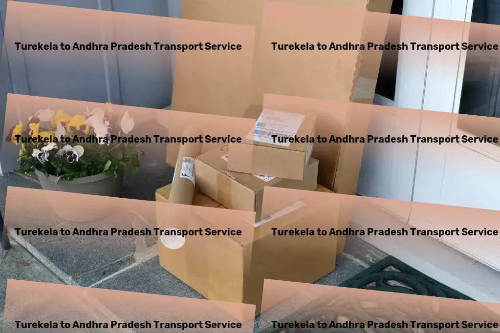 Turekela to Andhra Pradesh Transport Full-scale package delivery