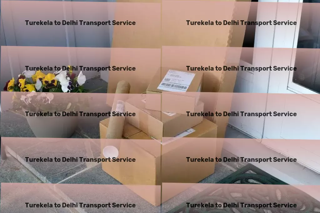 Turekela to Delhi Transport Freight and cargo consolidation