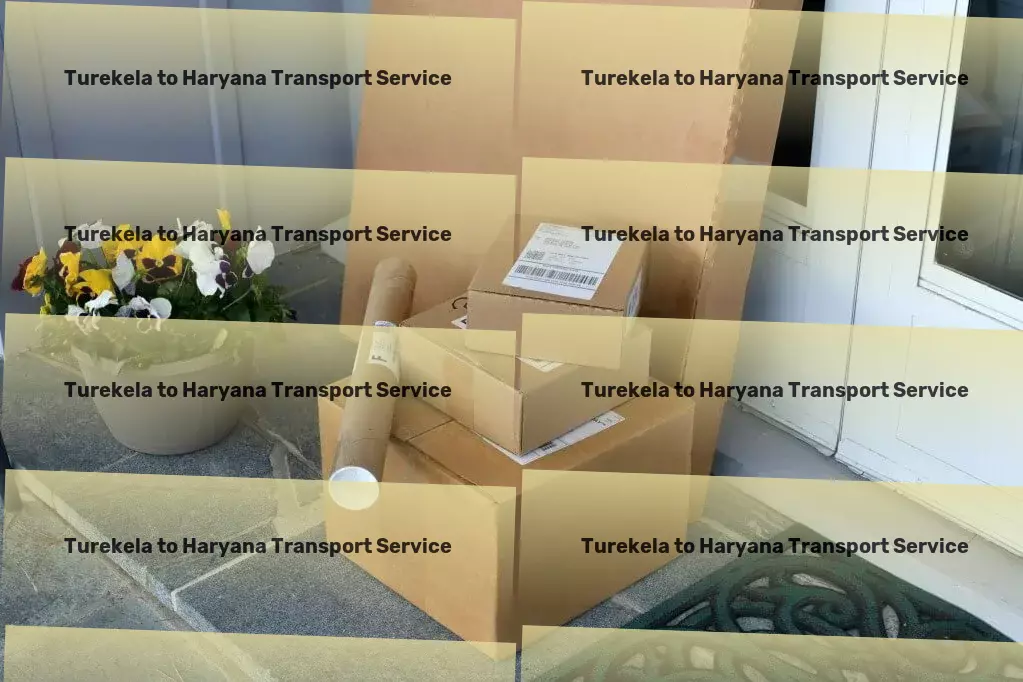 Turekela to Haryana Transport City-to-city logistics services