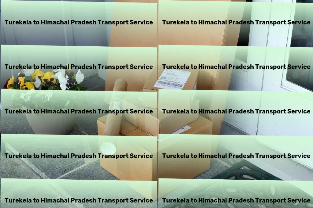 Turekela to Himachal Pradesh Transport Transforming goods movement across landscapes effortlessly! - Road cargo delivery