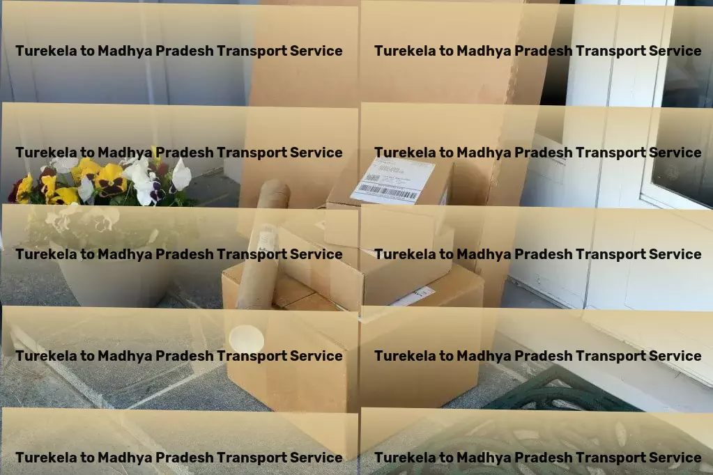 Turekela to Madhya Pradesh Transport Efficiency in motion for all your transportation needs! - Customized package logistics