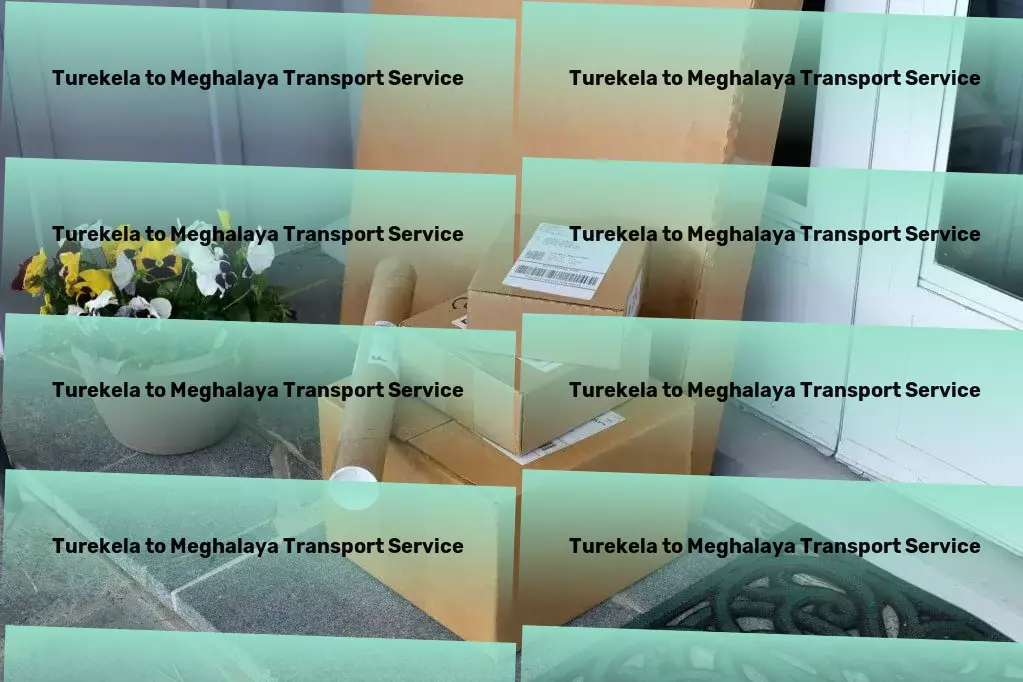 Turekela to Meghalaya Transport Quick goods delivery