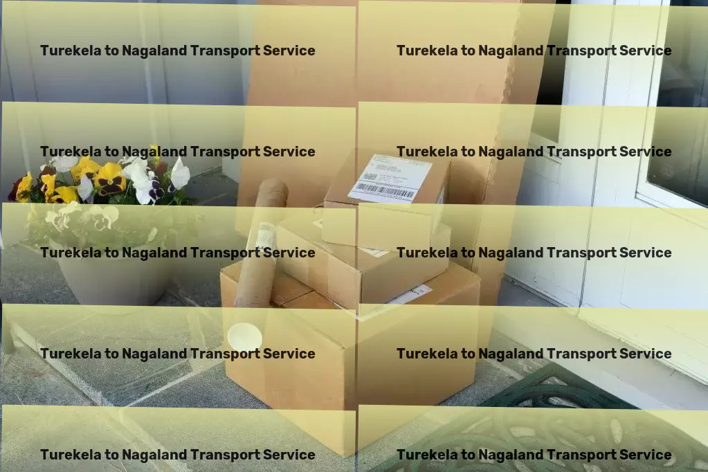 Turekela to Nagaland Transport Effortless shipping experience from start to finish in India! - Full-scale freight delivery