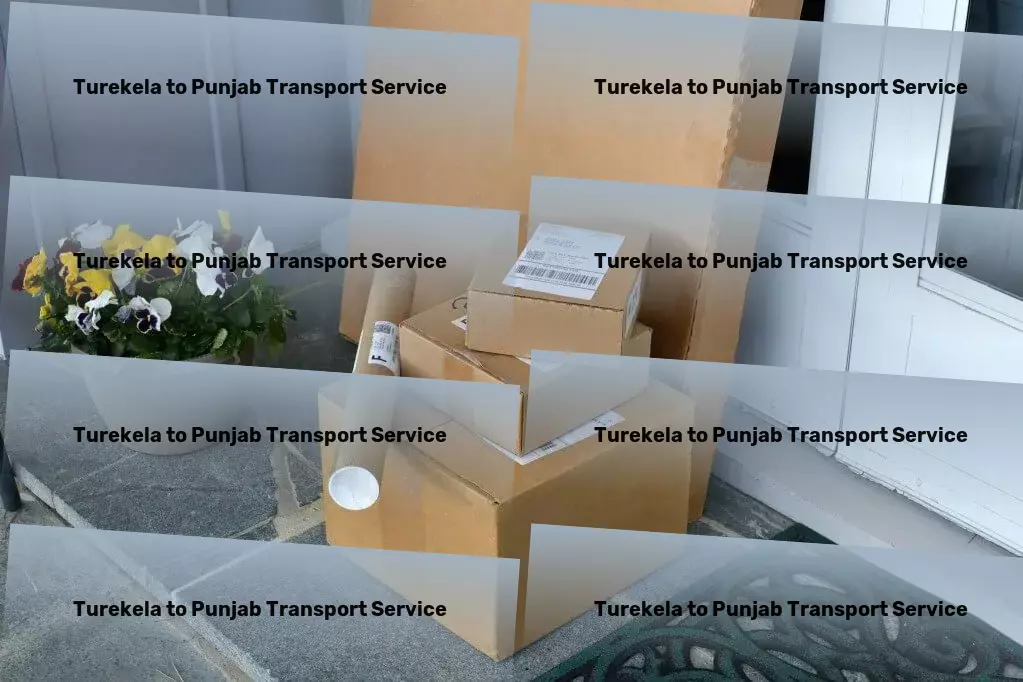 Turekela to Punjab Transport Advanced freight technology