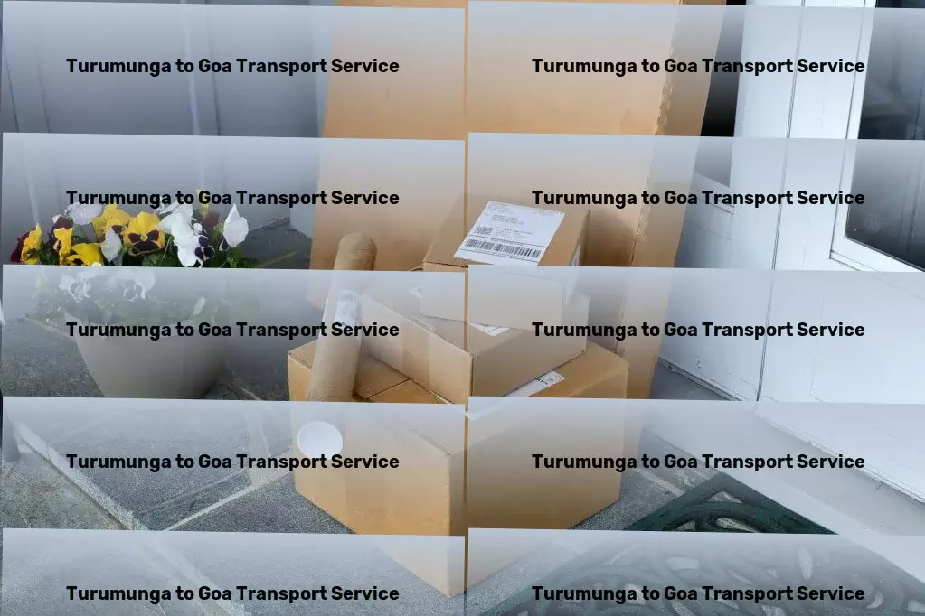 Turumunga to Goa Transport High-capacity goods services