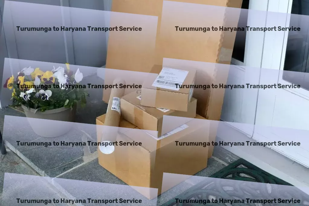 Turumunga to Haryana Transport Redefining logistics with advanced solutions for India's market. - Express household moving