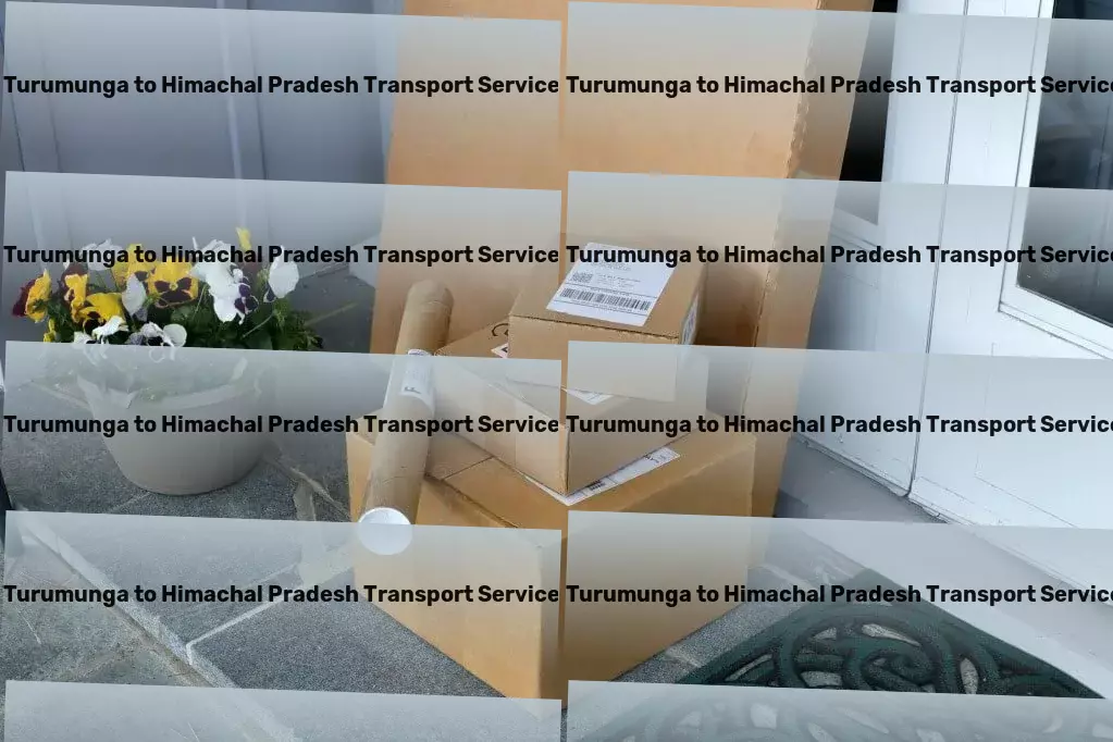 Turumunga to Himachal Pradesh Transport Unleashing the power of smooth logistics operations in India. - Long-distance movers