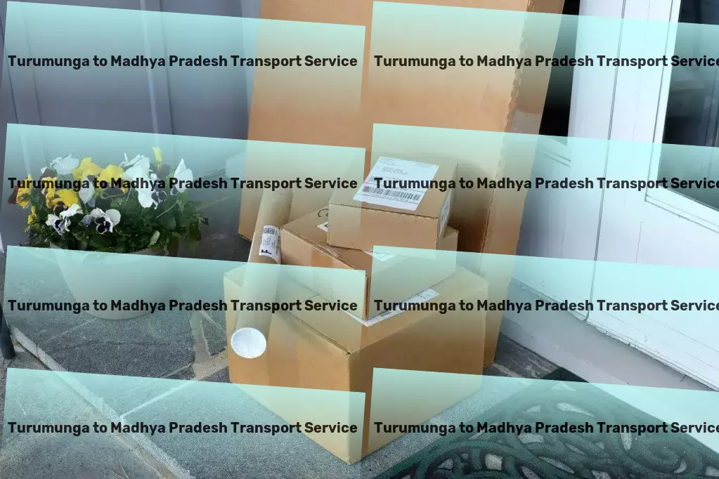 Turumunga to Madhya Pradesh Transport Transformative health strategies that really work. - Secure door-to-door cargo