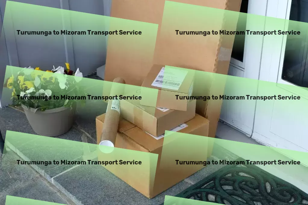 Turumunga to Mizoram Transport Express freight logistics