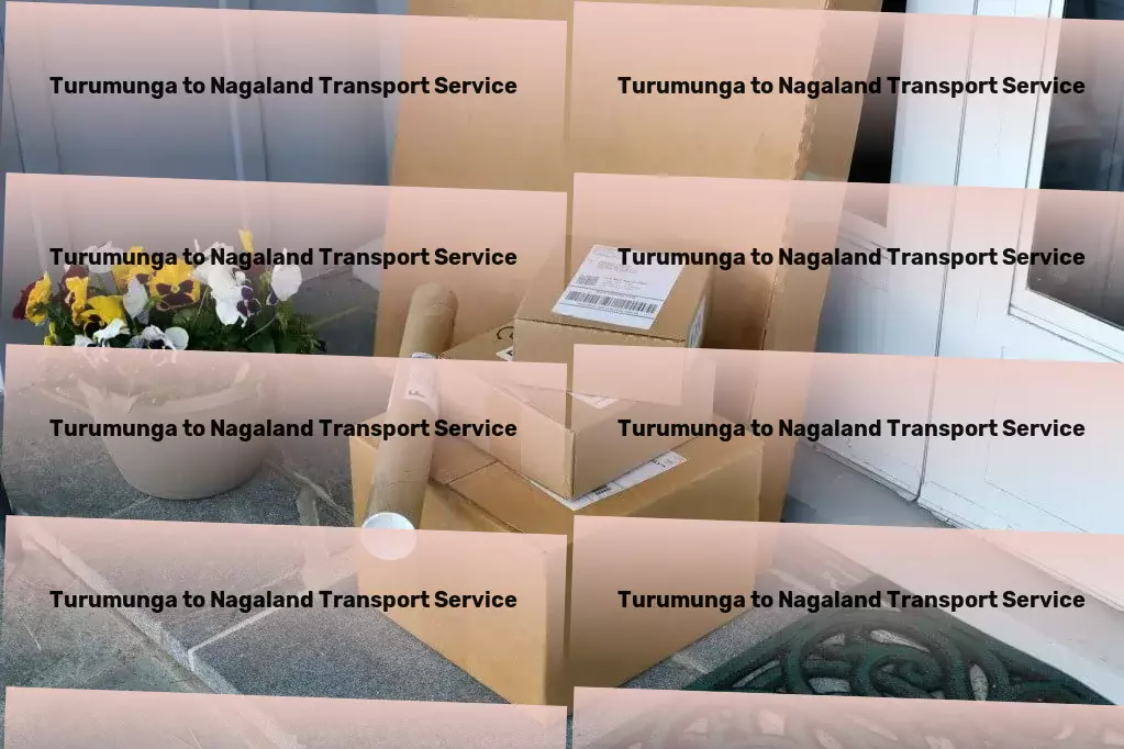 Turumunga to Nagaland Transport Ensure a good night's sleep with our mattress guide. - Customized shipping solutions