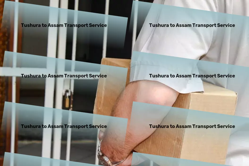 Tushura to Assam Transport Bringing simplicity to complex logistic challenges in India - Commercial package delivery