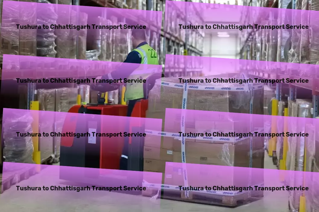 Tushura to Chhattisgarh Transport Nationwide package transport