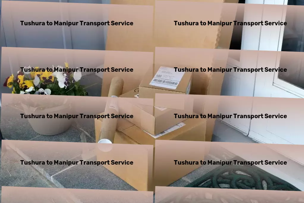 Tushura to Manipur Transport Creating beautiful spaces one room at a time! - Nationwide freight and logistics