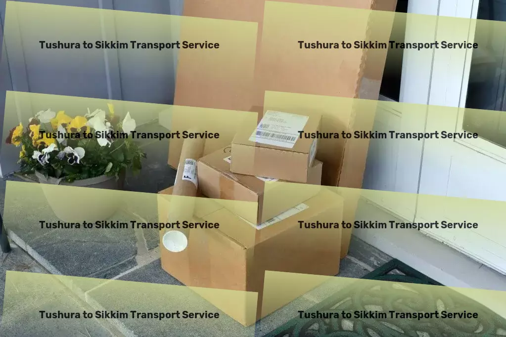 Tushura to Sikkim Transport Special cargo services