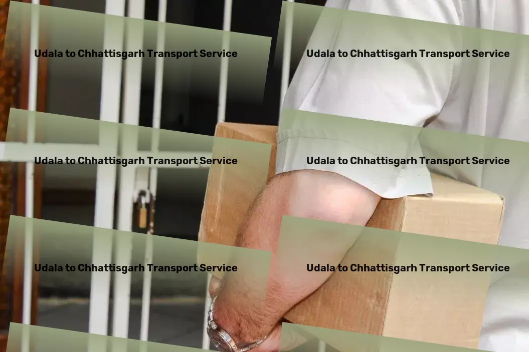 Udala to Chhattisgarh Transport Expedited delivery services