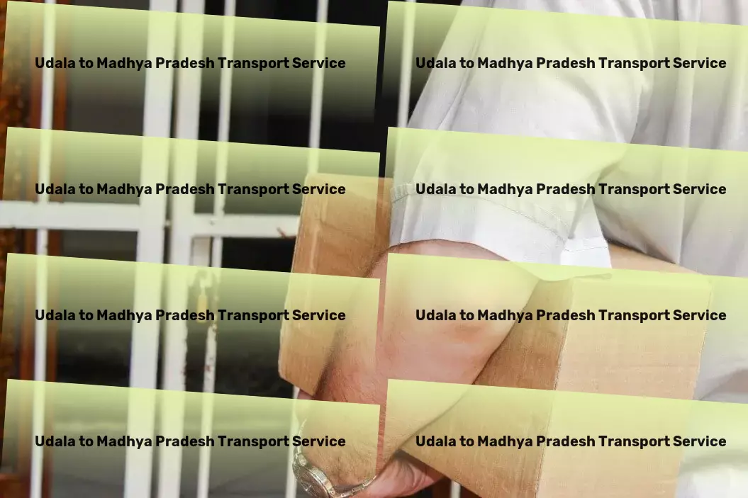 Udala to Madhya Pradesh Transport Your cargo, our responsibility - transported safely every time! - Digital logistic solutions