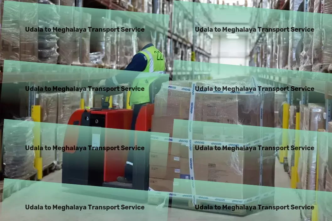 Udala to Meghalaya Transport Integrated goods forwarding