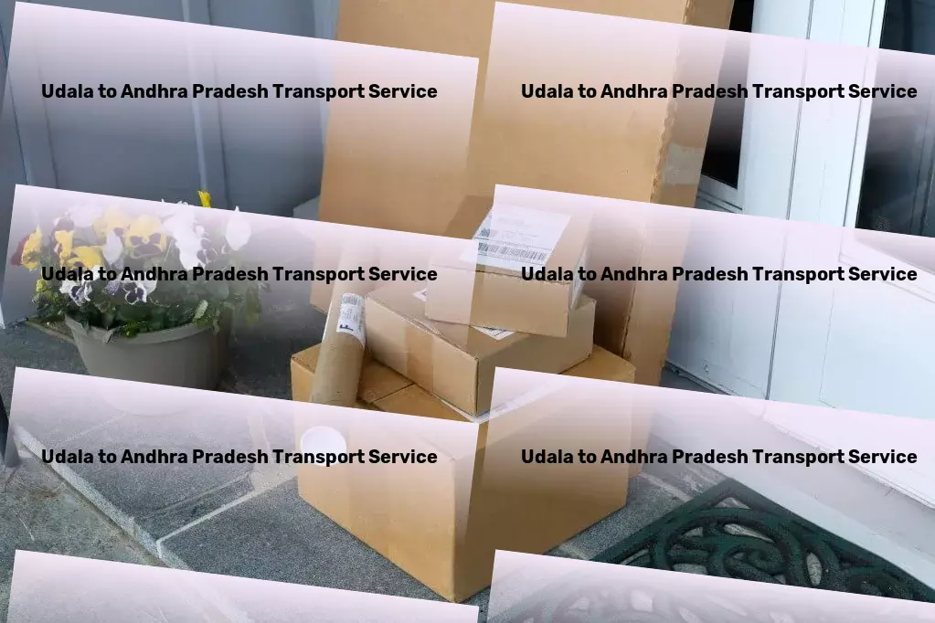 Udala to Andhra Pradesh Transport Tailor-made logistics solutions for modern India! - Quick parcel delivery solutions