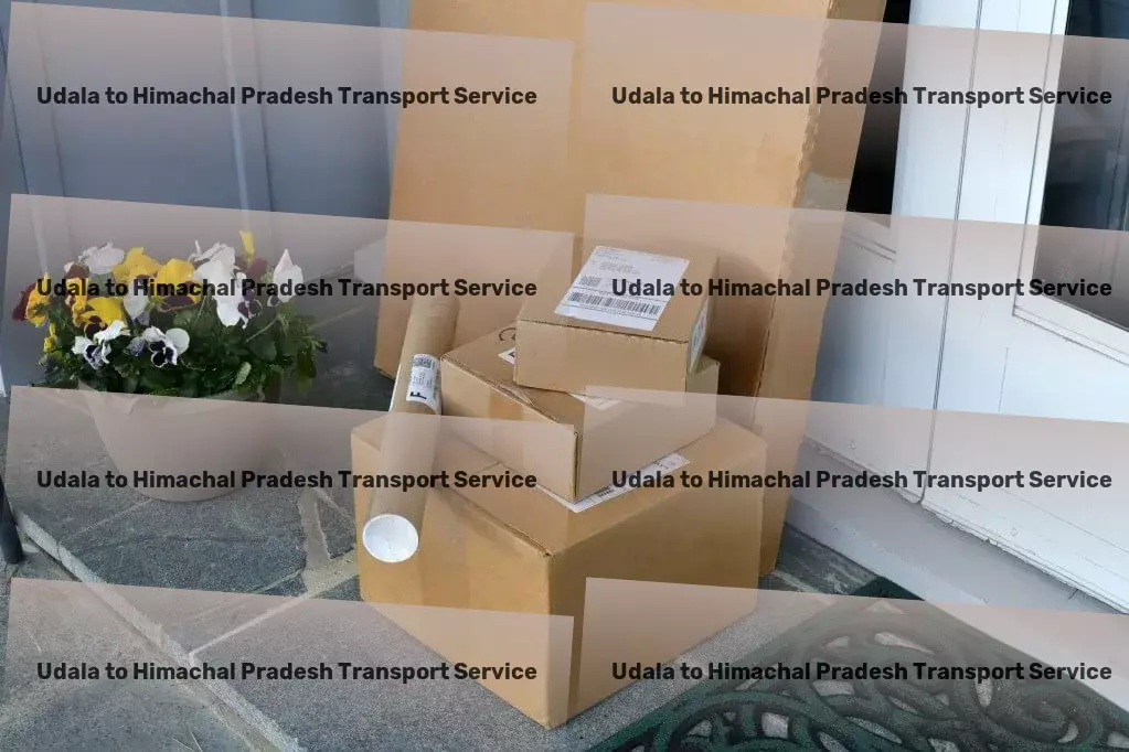 Udala to Himachal Pradesh Transport Crafting the future of goods transportation, today! - Efficient package logistics