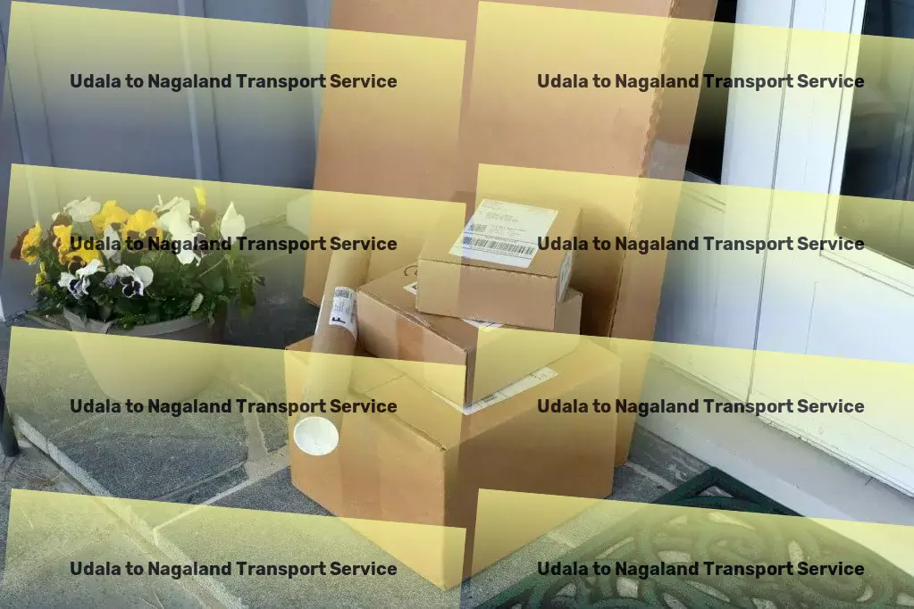 Udala to Nagaland Transport National freight logistics