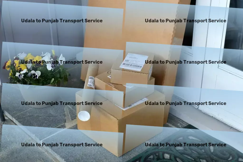 Udala to Punjab Transport Innovative cooling and heating solutions for year-round comfort. - City-to-city freight solutions