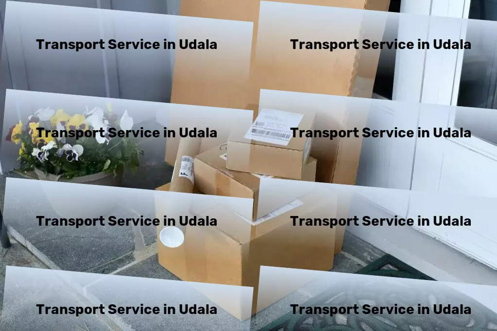 Courier And Parcel in Udala, Odisha (OR) Express household shipment