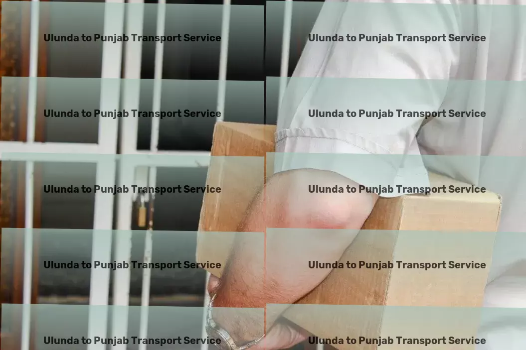 Ulunda to Punjab Transport Beyond moving goods - transforming logistics in India! - Total logistic operations