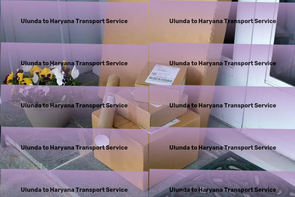 Ulunda to Haryana Transport Customized fitness plans to help you reach your goals faster! - International freight logistics