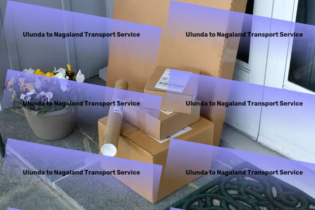 Ulunda to Nagaland Transport Seamless connectivity across Indian cities! - Efficient goods dispatch