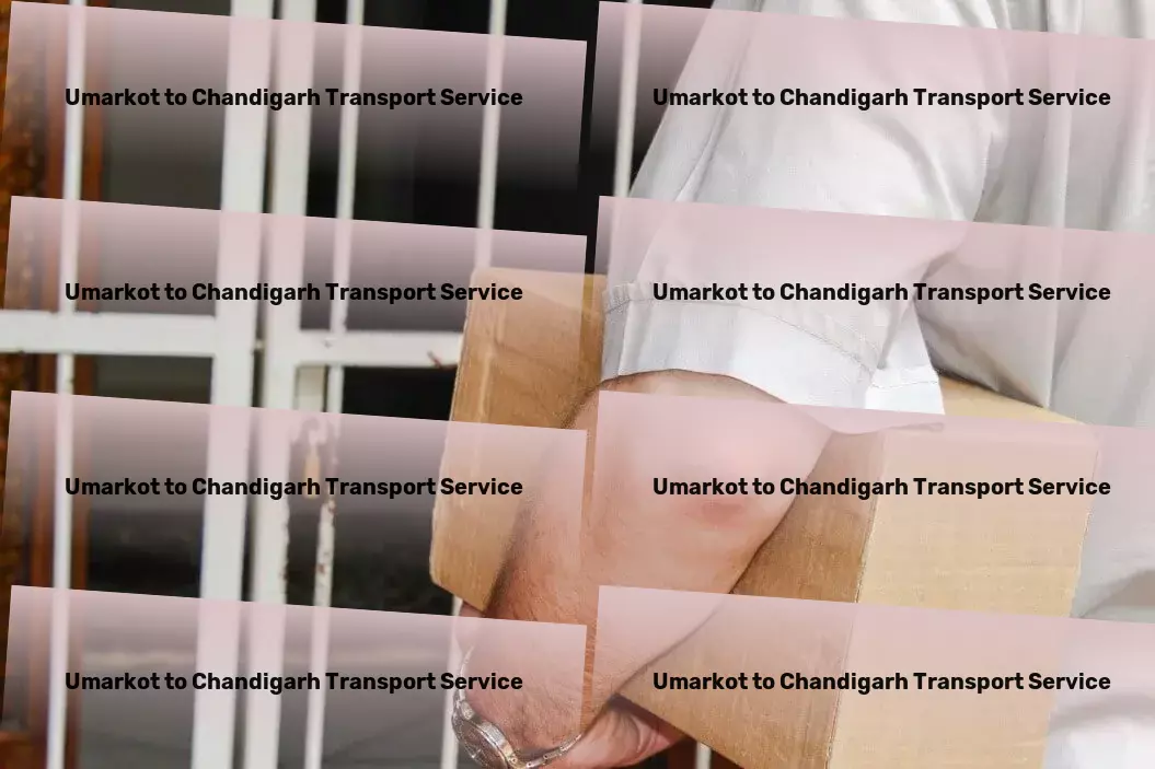 Umarkot to Chandigarh Transport Achieve and maintain optimal health with our guidance! - Direct freight services